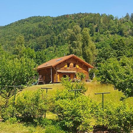 Chalet Des Charbonniers Avec Etang Сен-Морис-сюр-Мозель Екстер'єр фото