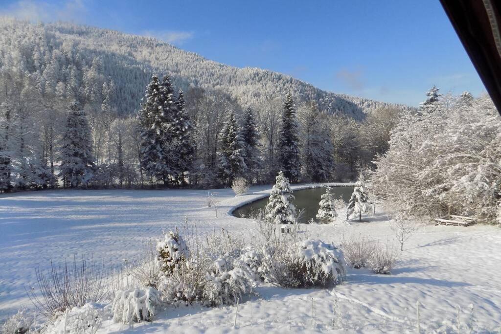 Chalet Des Charbonniers Avec Etang Сен-Морис-сюр-Мозель Екстер'єр фото