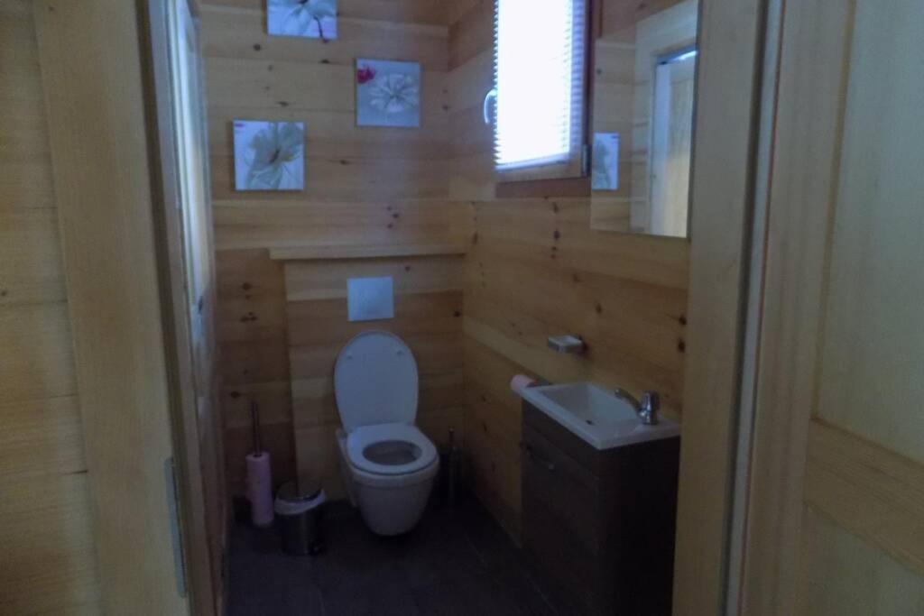Chalet Des Charbonniers Avec Etang Сен-Морис-сюр-Мозель Екстер'єр фото