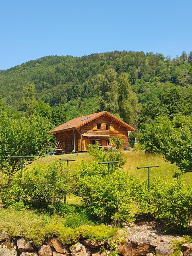 Chalet Des Charbonniers Avec Etang Сен-Морис-сюр-Мозель Екстер'єр фото