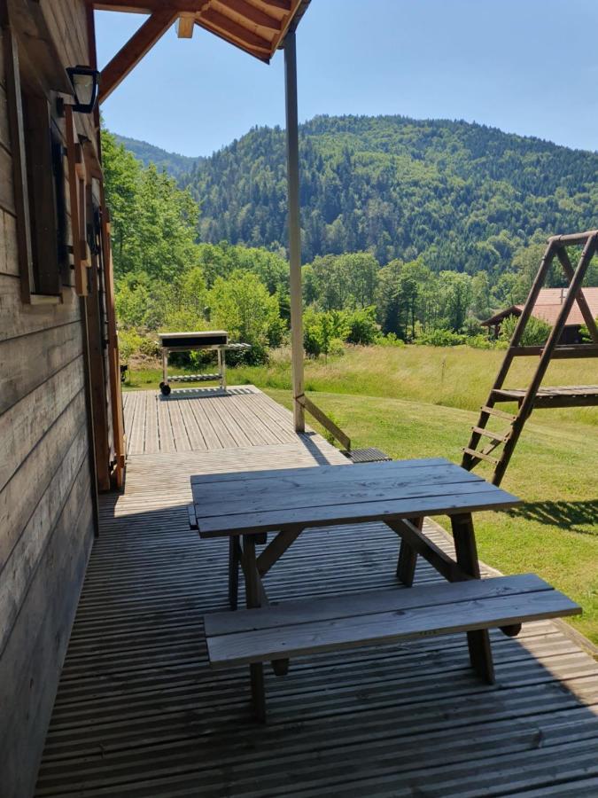 Chalet Des Charbonniers Avec Etang Сен-Морис-сюр-Мозель Екстер'єр фото